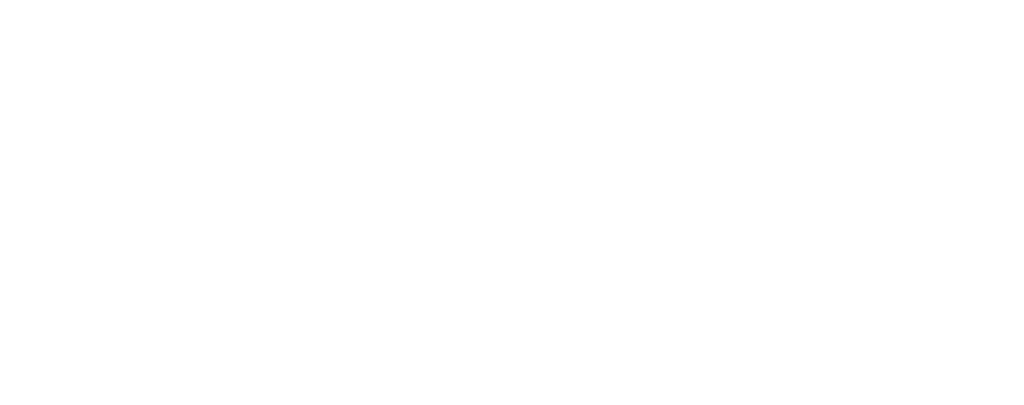 baltic_car_logo_autopesula_white
